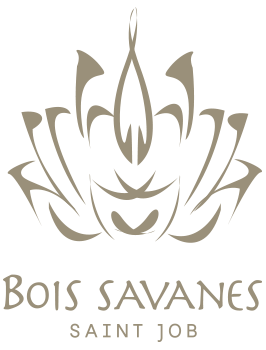 logo - Bois Savanes